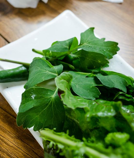 Fresh green herbs on a wooden table with soft sunlight